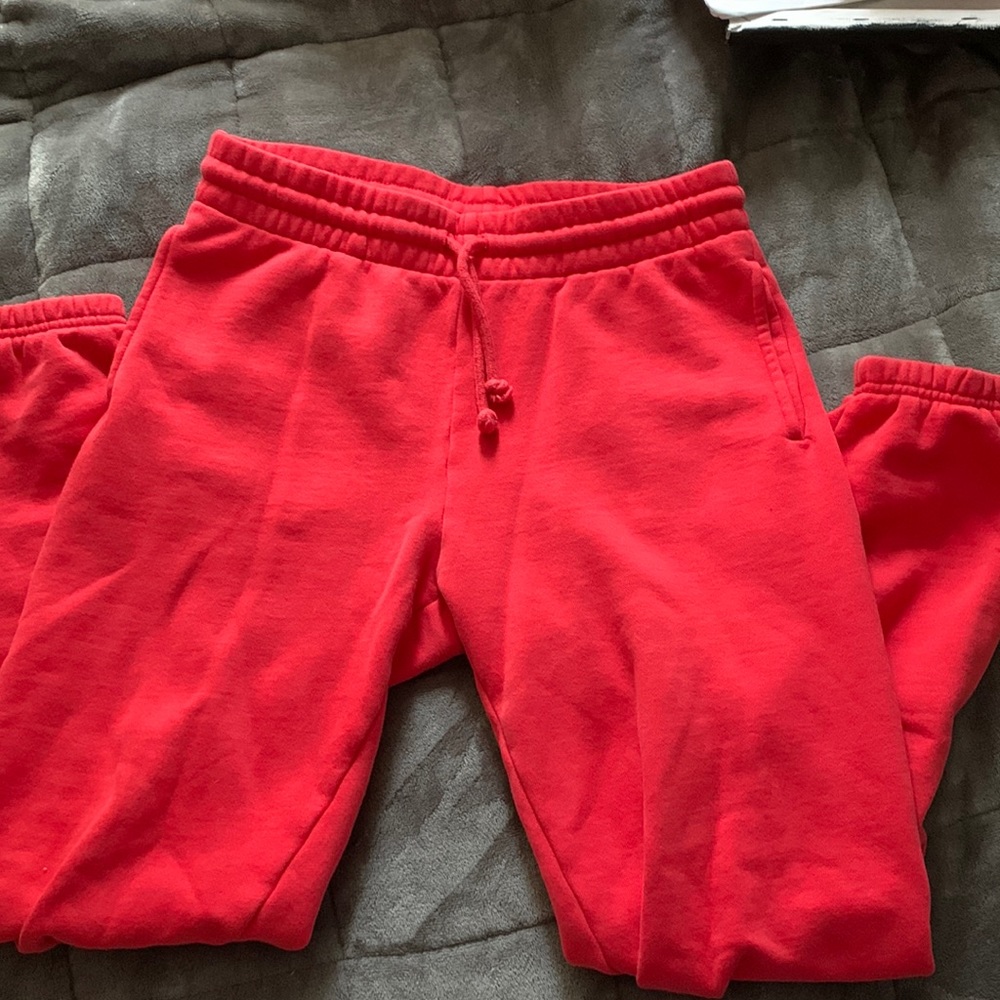 ARITZIA joggers